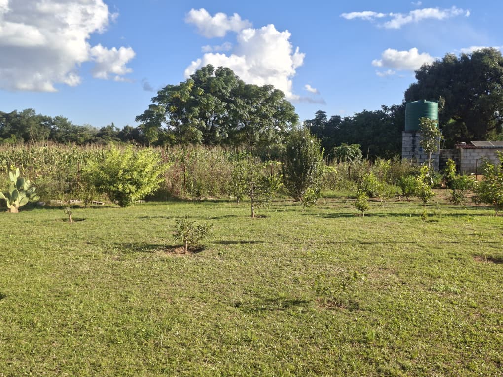 Mikango 1 acre Tiltled Land