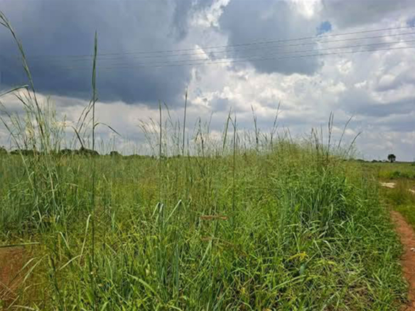 FOR SALE: LUSAKA WEST (KALUNDU)