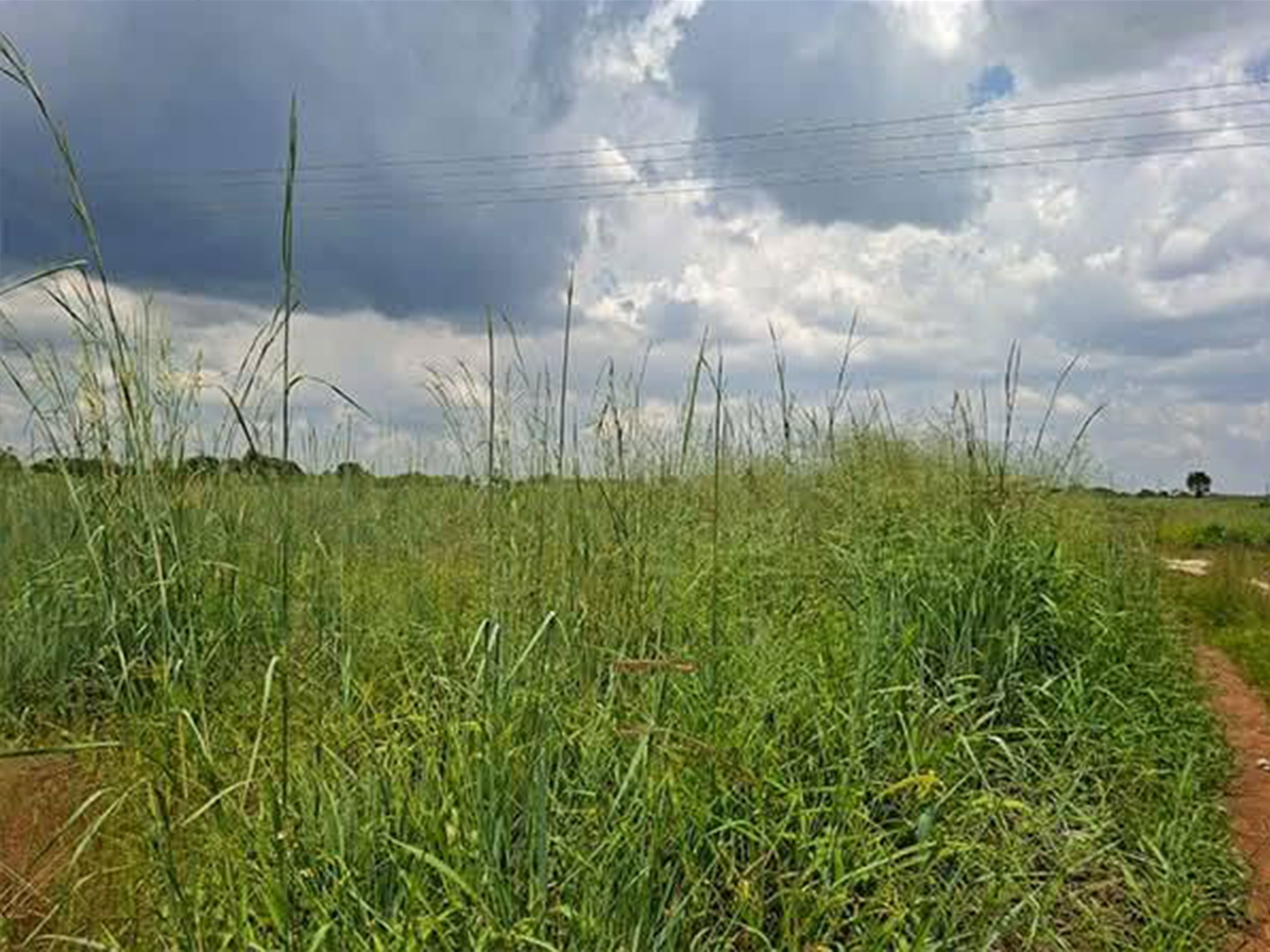 FOR SALE: LUSAKA WEST (KALUNDU)