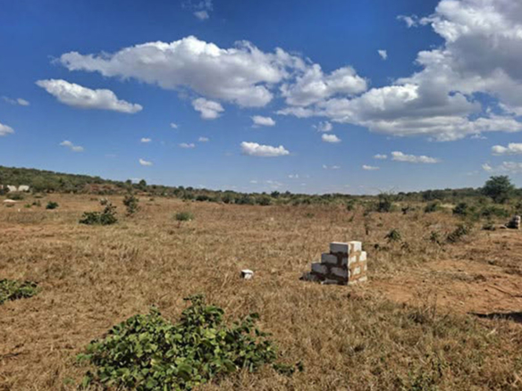FOR SALE: NAMPUNDWE