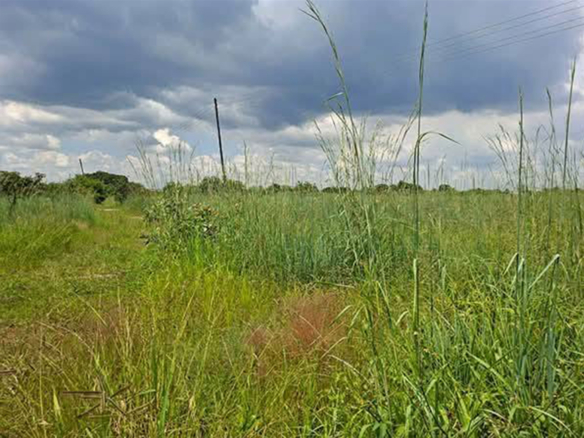 FOR SALE: LUSAKA WEST (KALUNDU)