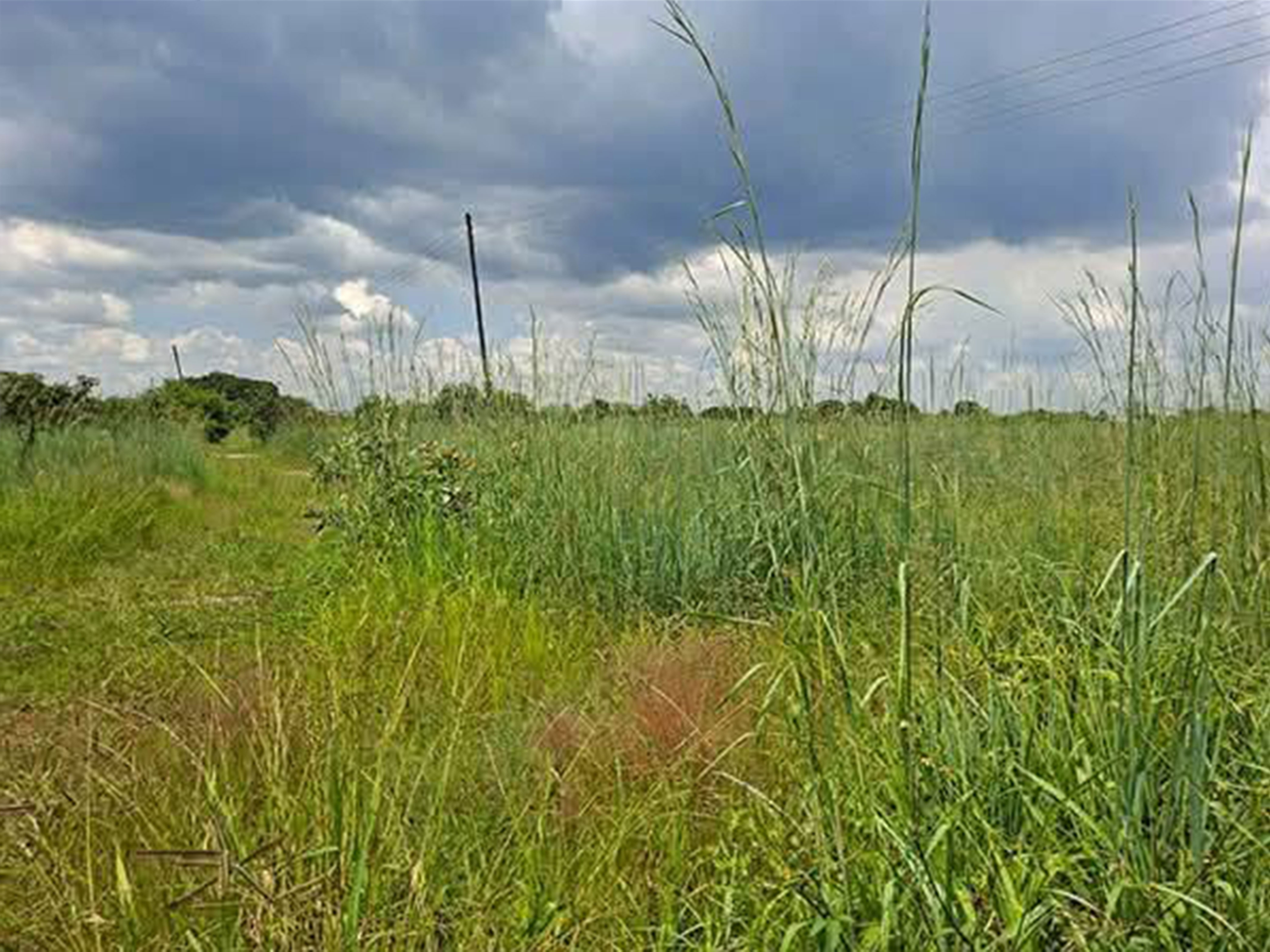 FOR SALE: LUSAKA WEST (KALUNDU)
