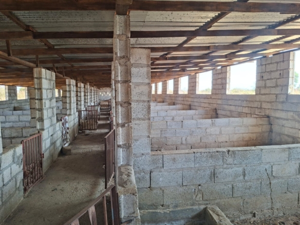 FOR SALE: SITUMBEKO FARM