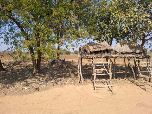 FOR SALE: SITUMBEKO FARM