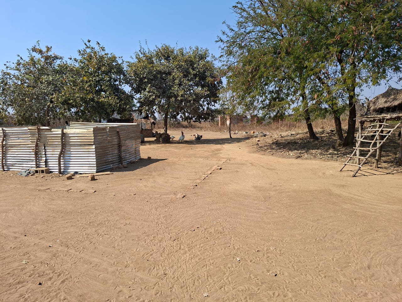 FOR SALE: SITUMBEKO FARM