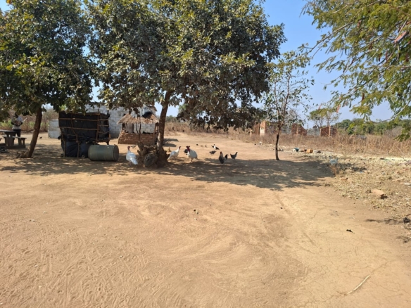 FOR SALE: SITUMBEKO FARM