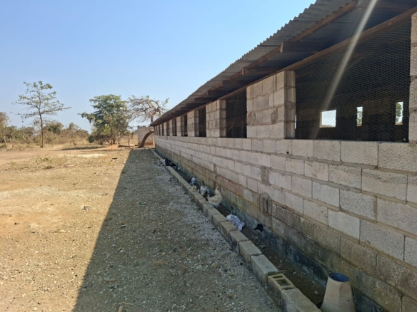FOR SALE: SITUMBEKO FARM
