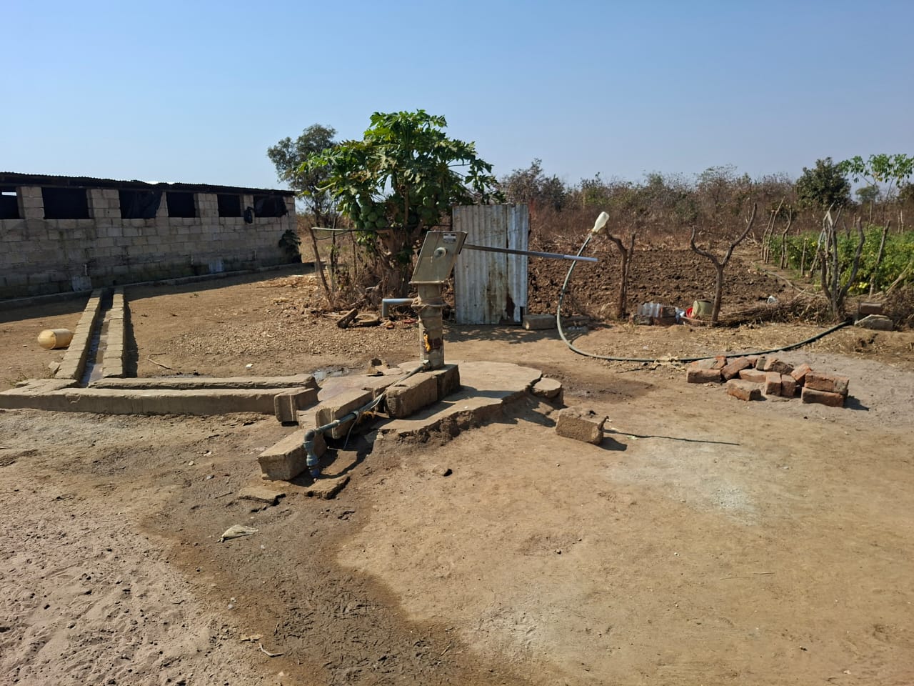 FOR SALE: SITUMBEKO FARM