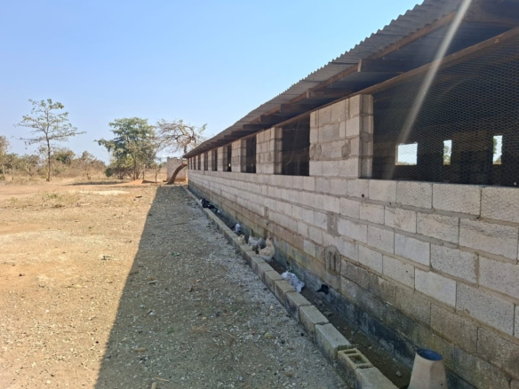 FOR SALE: SITUMBEKO FARM