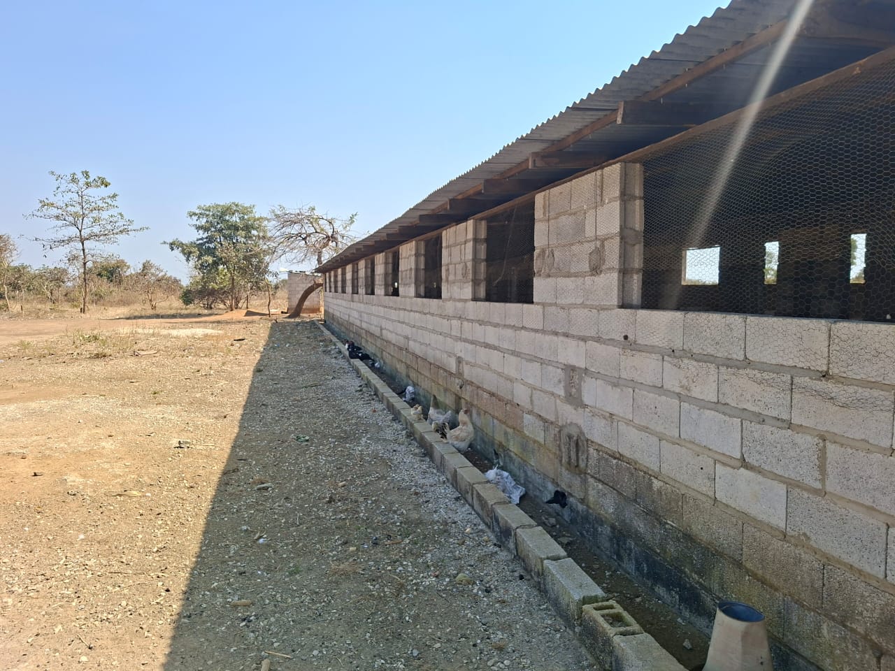FOR SALE: SITUMBEKO FARM