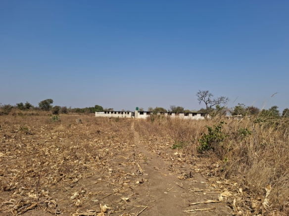 FOR SALE: SITUMBEKO FARM