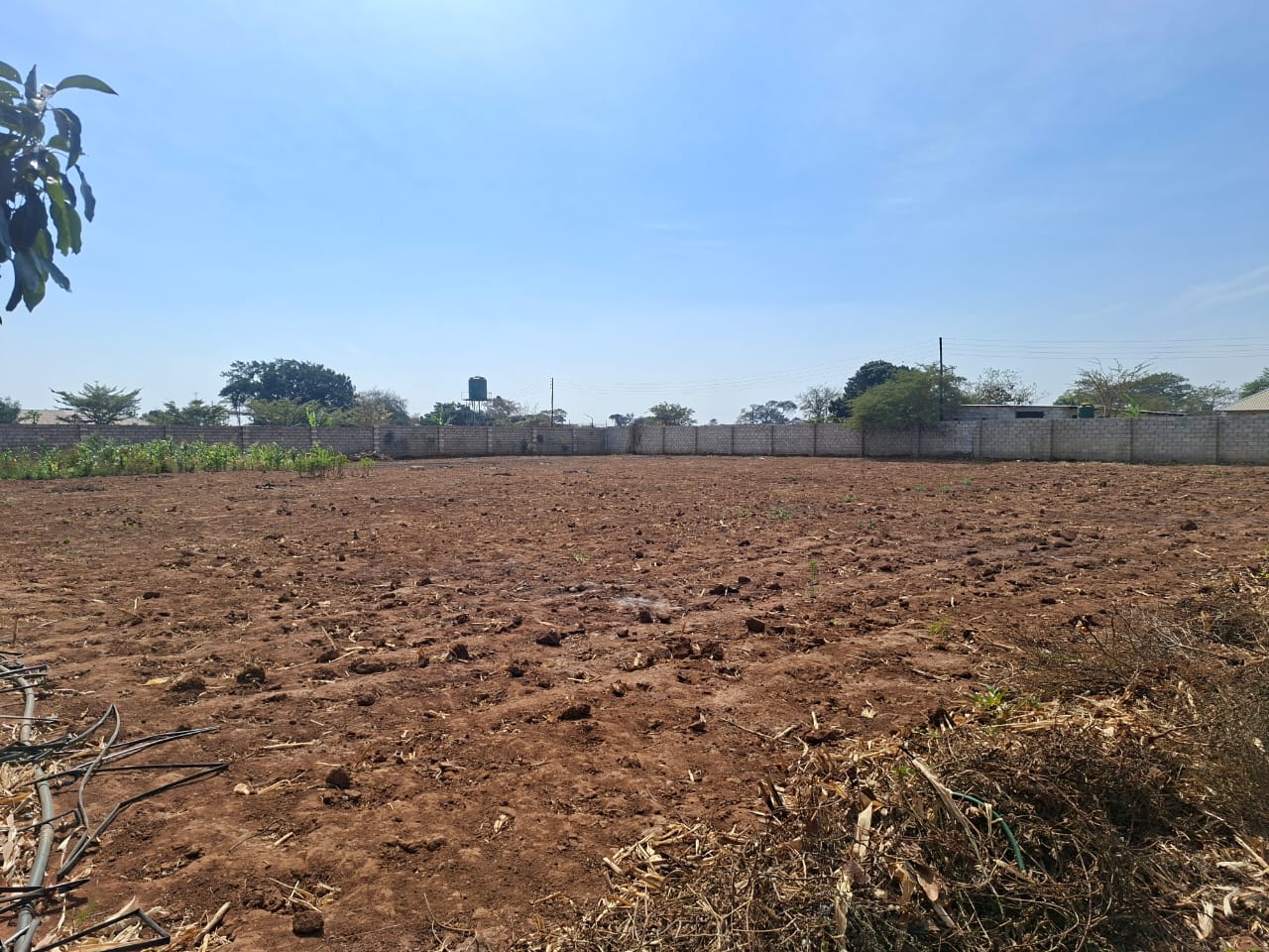 FOR SALE: MAKENI KONGA