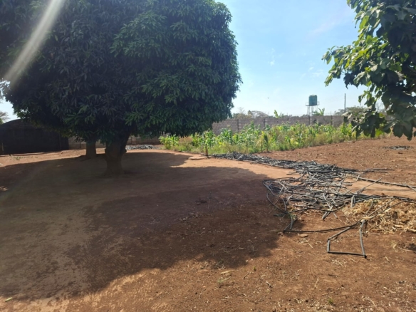 FOR SALE: MAKENI KONGA