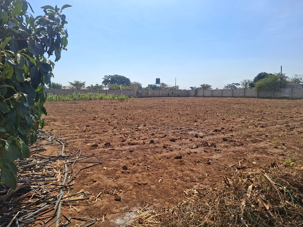 FOR SALE: MAKENI KONGA