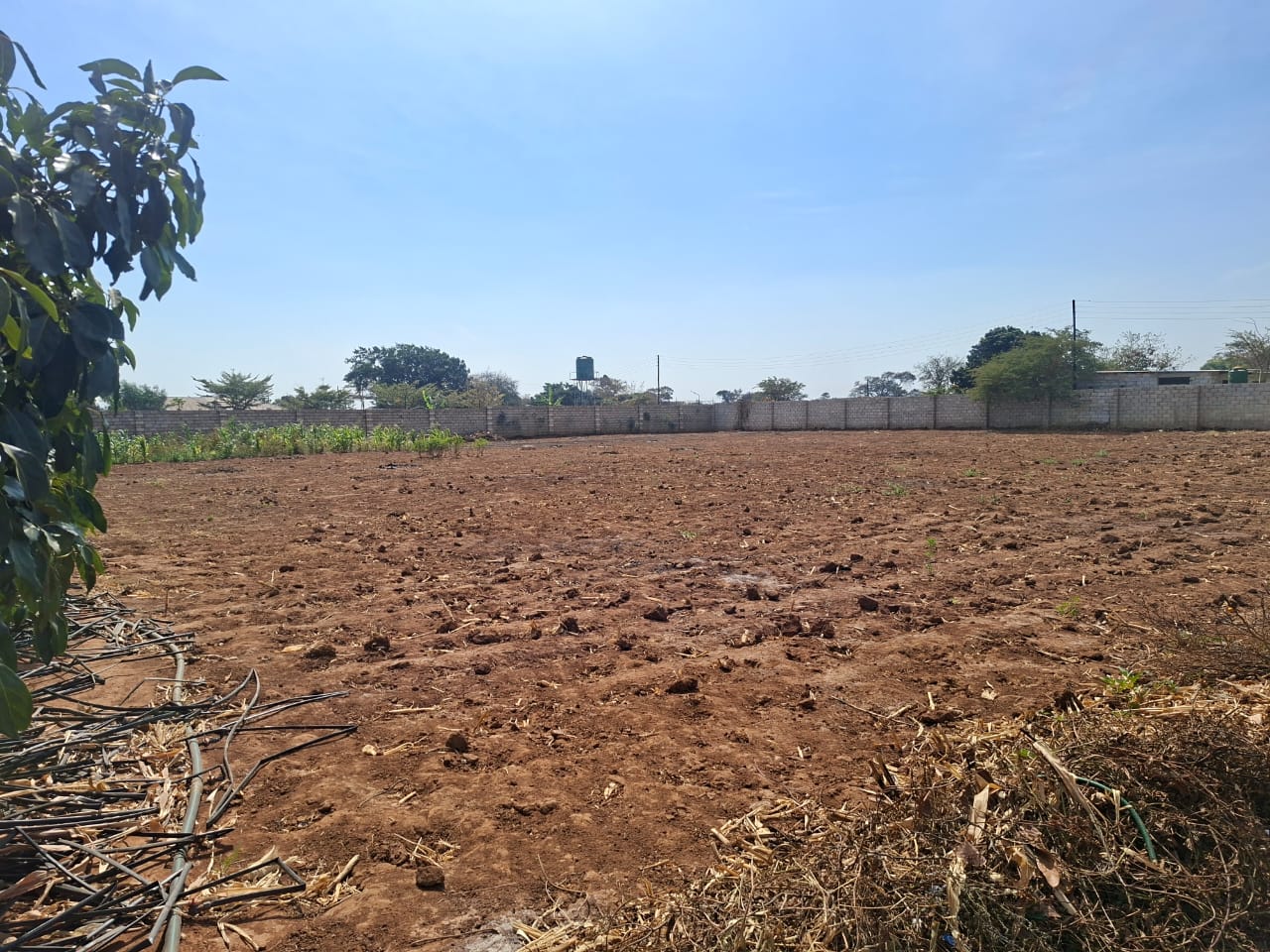 FOR SALE: MAKENI KONGA