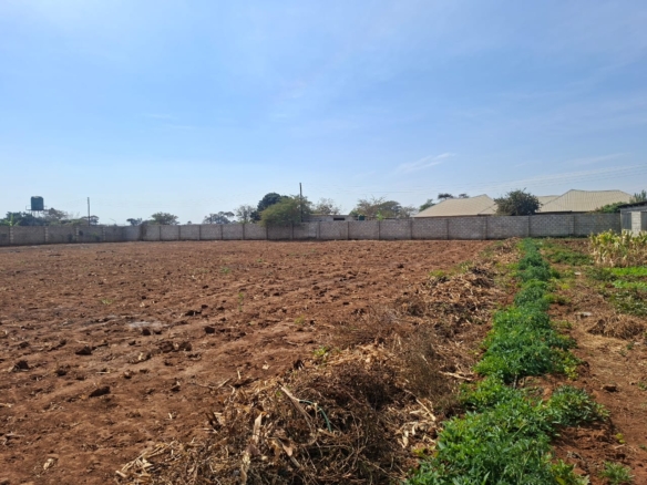 FOR SALE: MAKENI KONGA