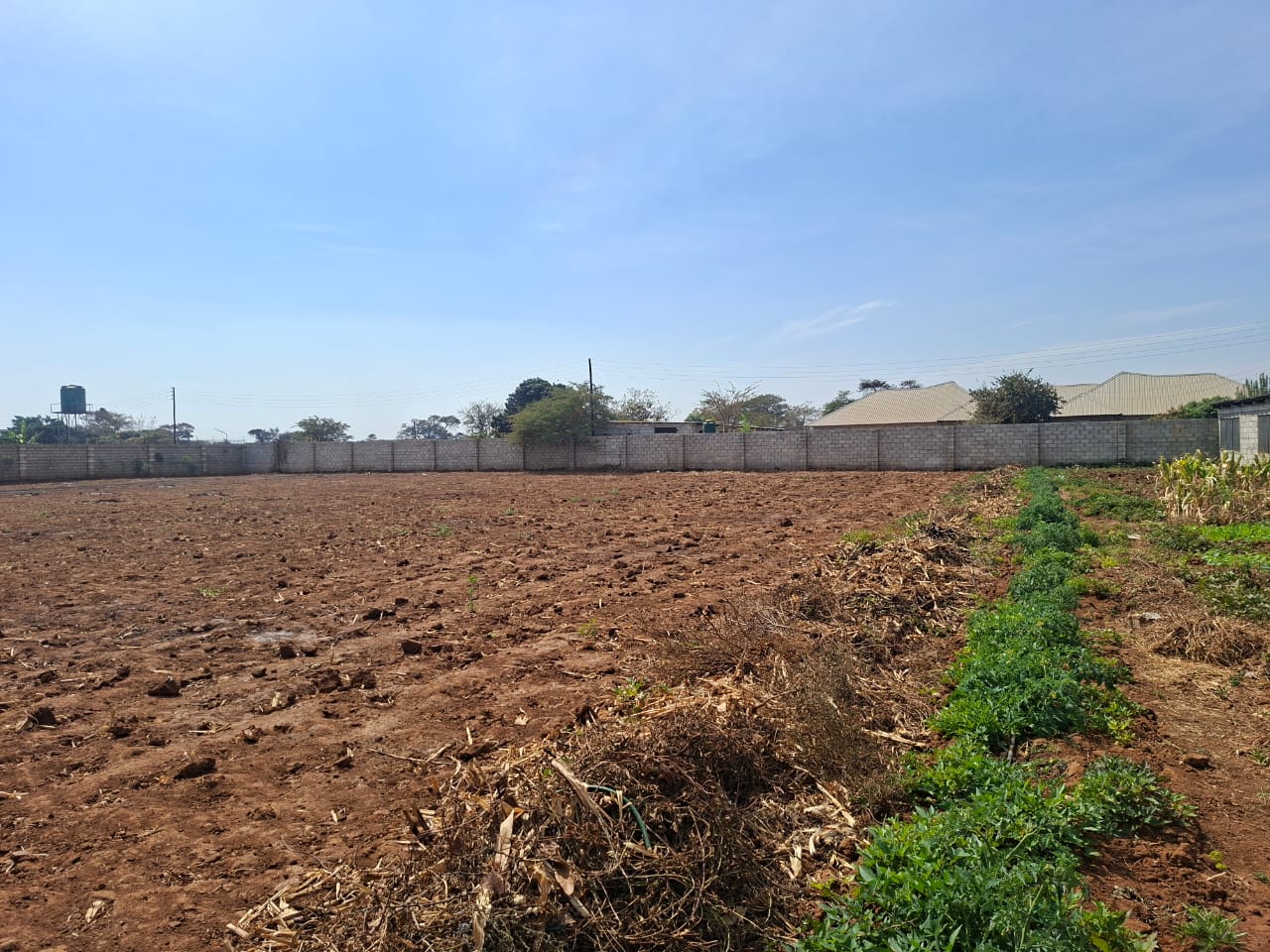 FOR SALE: MAKENI KONGA