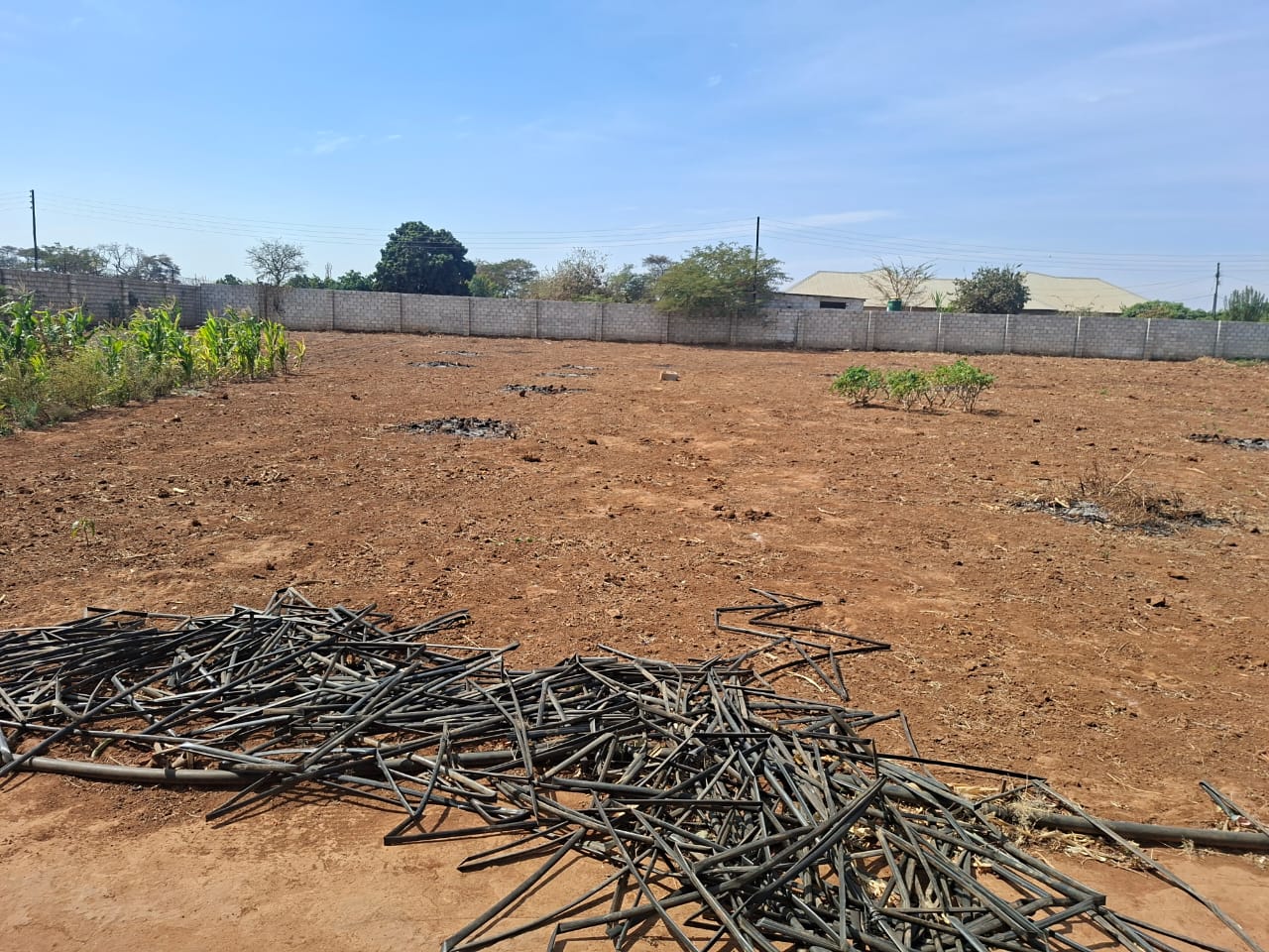 FOR SALE: MAKENI KONGA