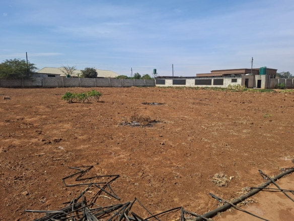 FOR SALE: MAKENI KONGA