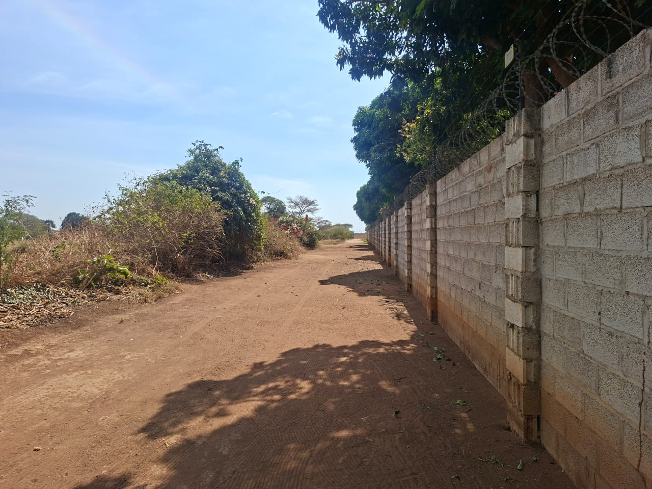 FOR SALE: MAKENI KONGA