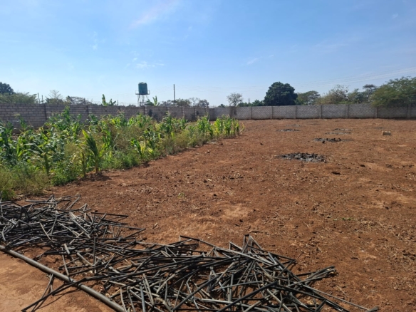 FOR SALE: MAKENI KONGA