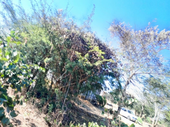 FOR SALE: MAKENI NEW FARMS