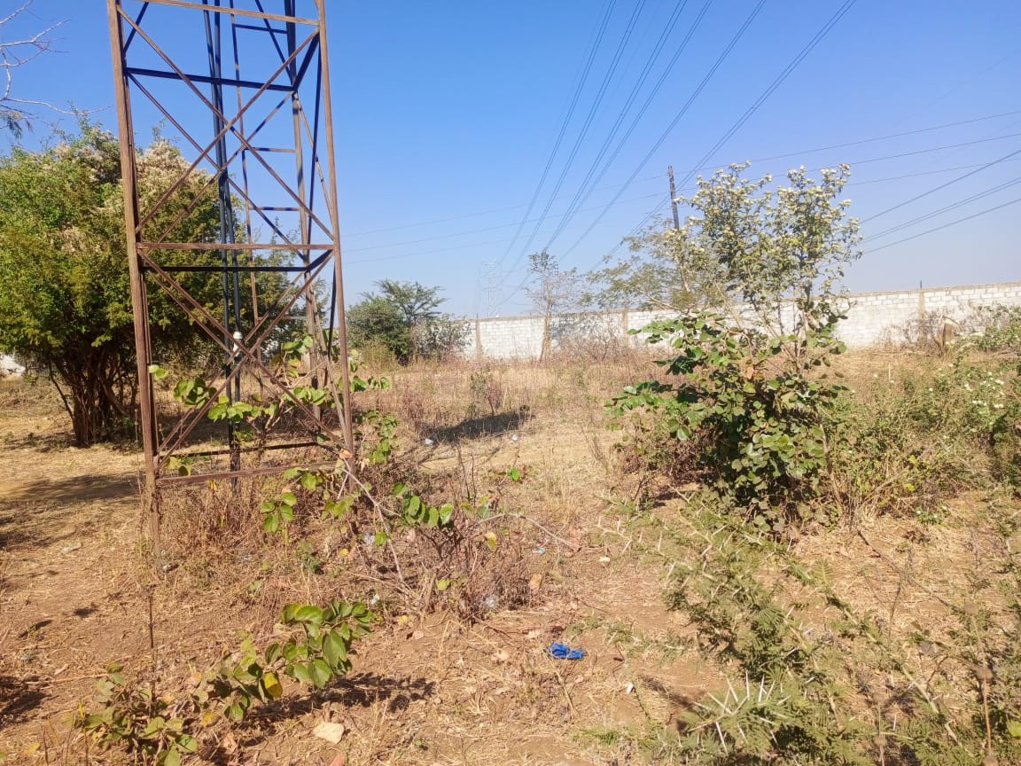 FOR SALE: MAKENI NEW FARMS