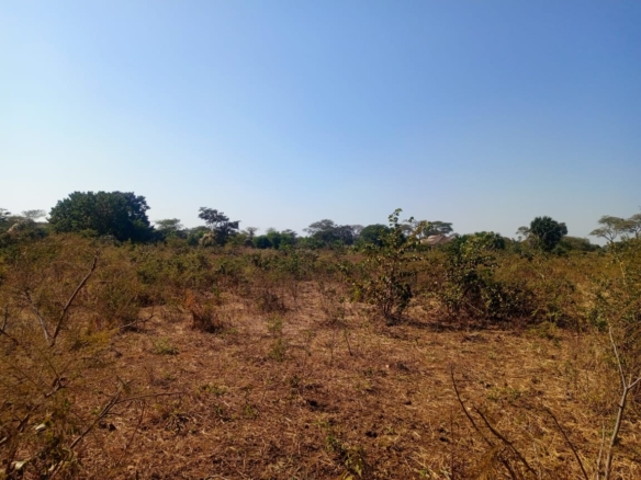 FOR SALE: MAKENI NEW FARMS