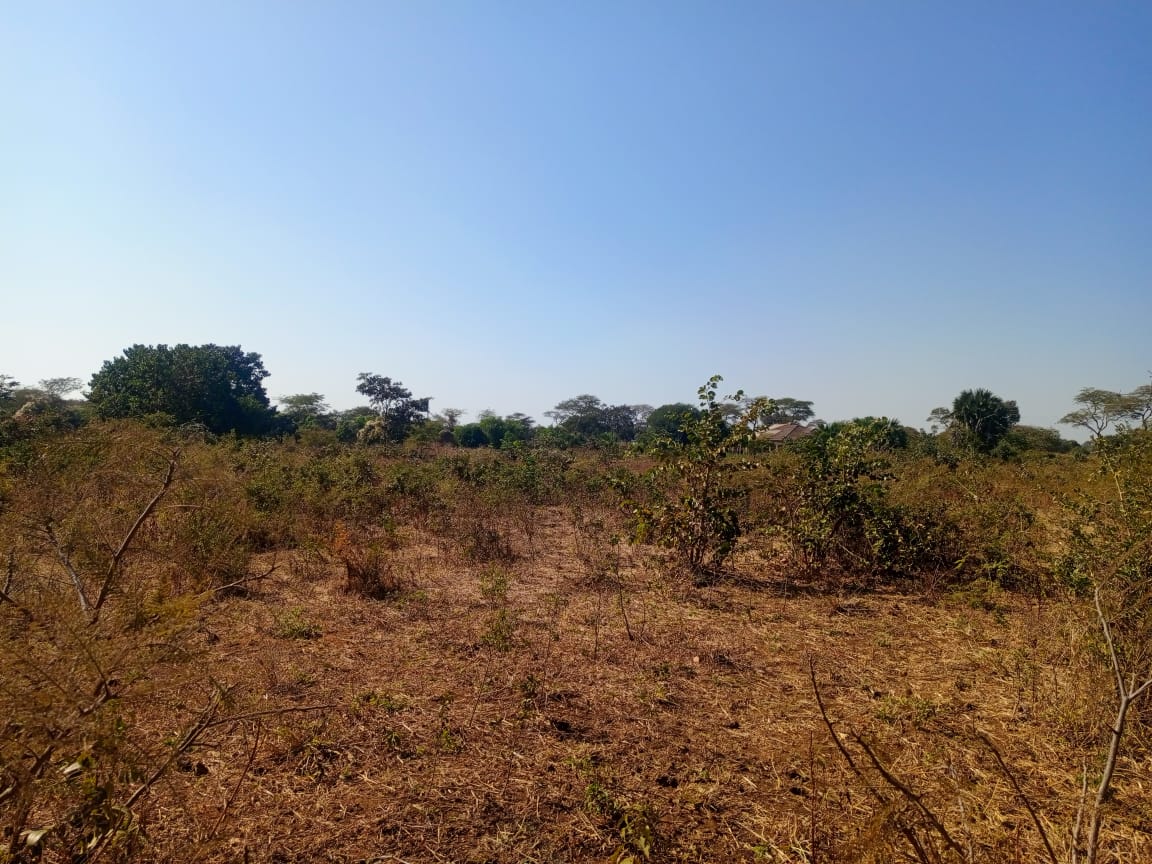 FOR SALE: MAKENI NEW FARMS