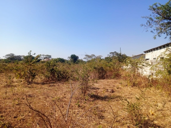FOR SALE: MAKENI NEW FARMS