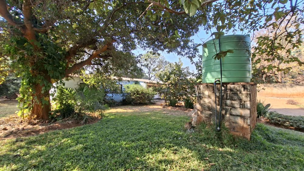 FOR SALE: VERY PRIME CHELSTONE