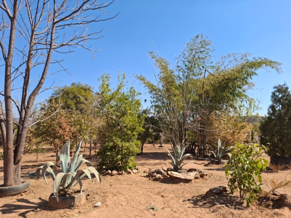 FOR SALE: NJOLWE