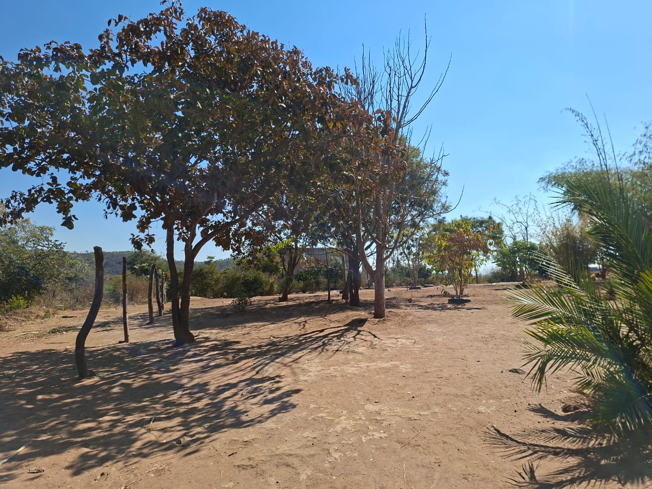 FOR SALE: NJOLWE