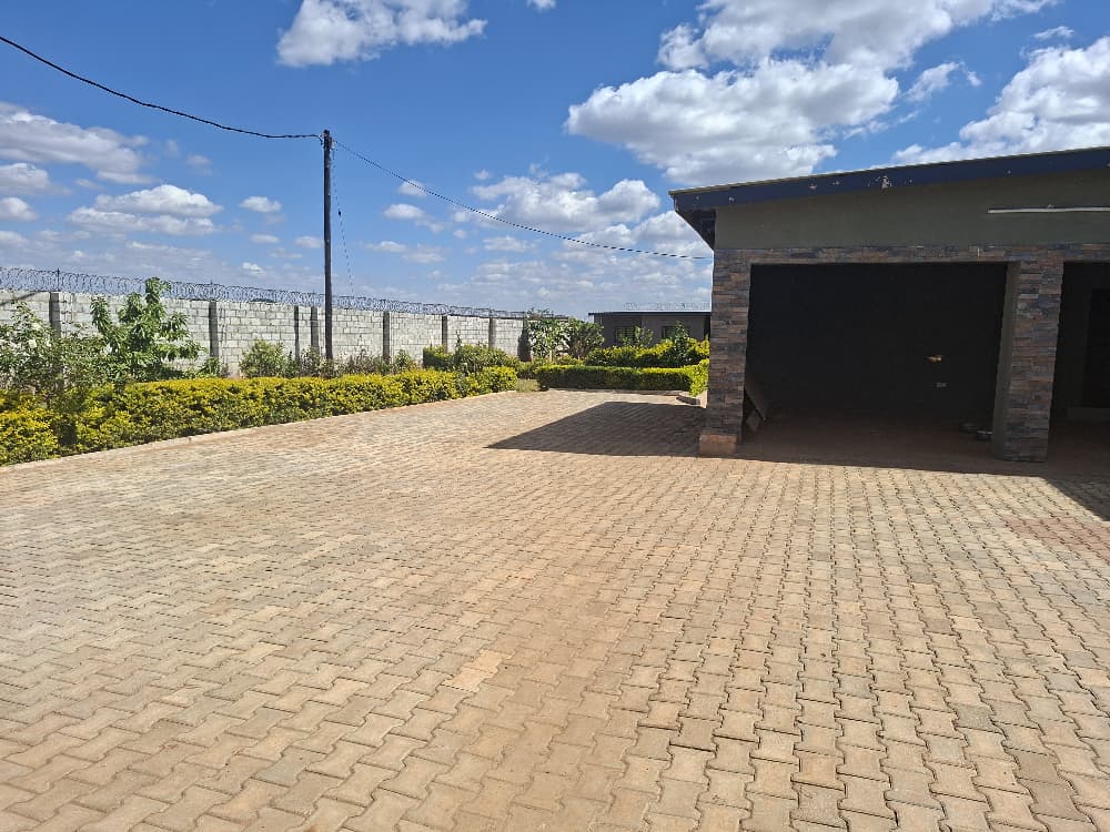 FOR SALE: MUNGULE
