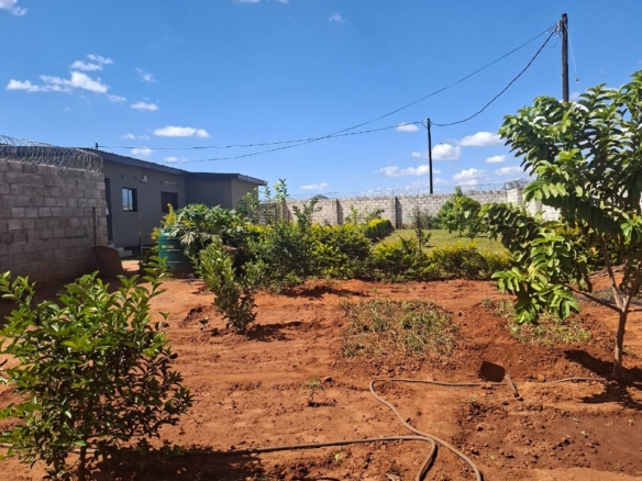 FOR SALE: MUNGULE