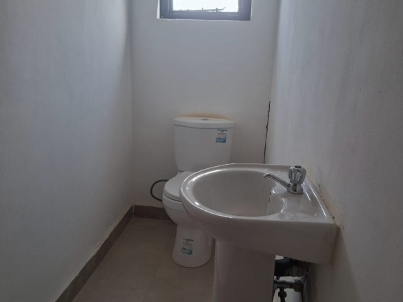 FOR SALE: MUNGULE