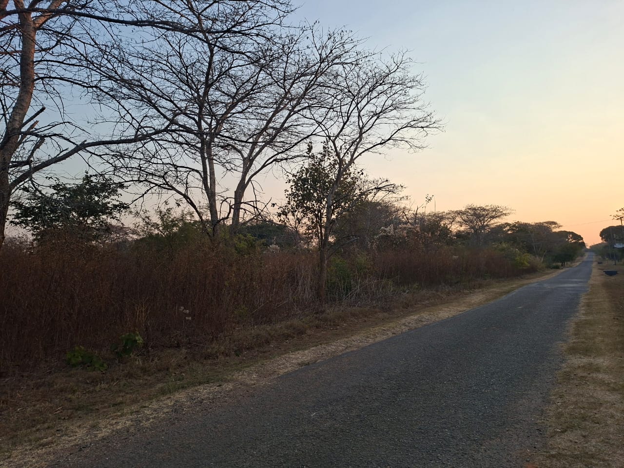 FOR SALE: NEW KASAMA (MUKAMUNYA)