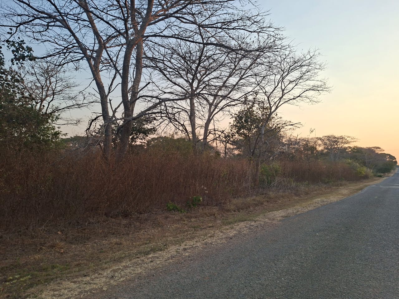 FOR SALE: NEW KASAMA (MUKAMUNYA)