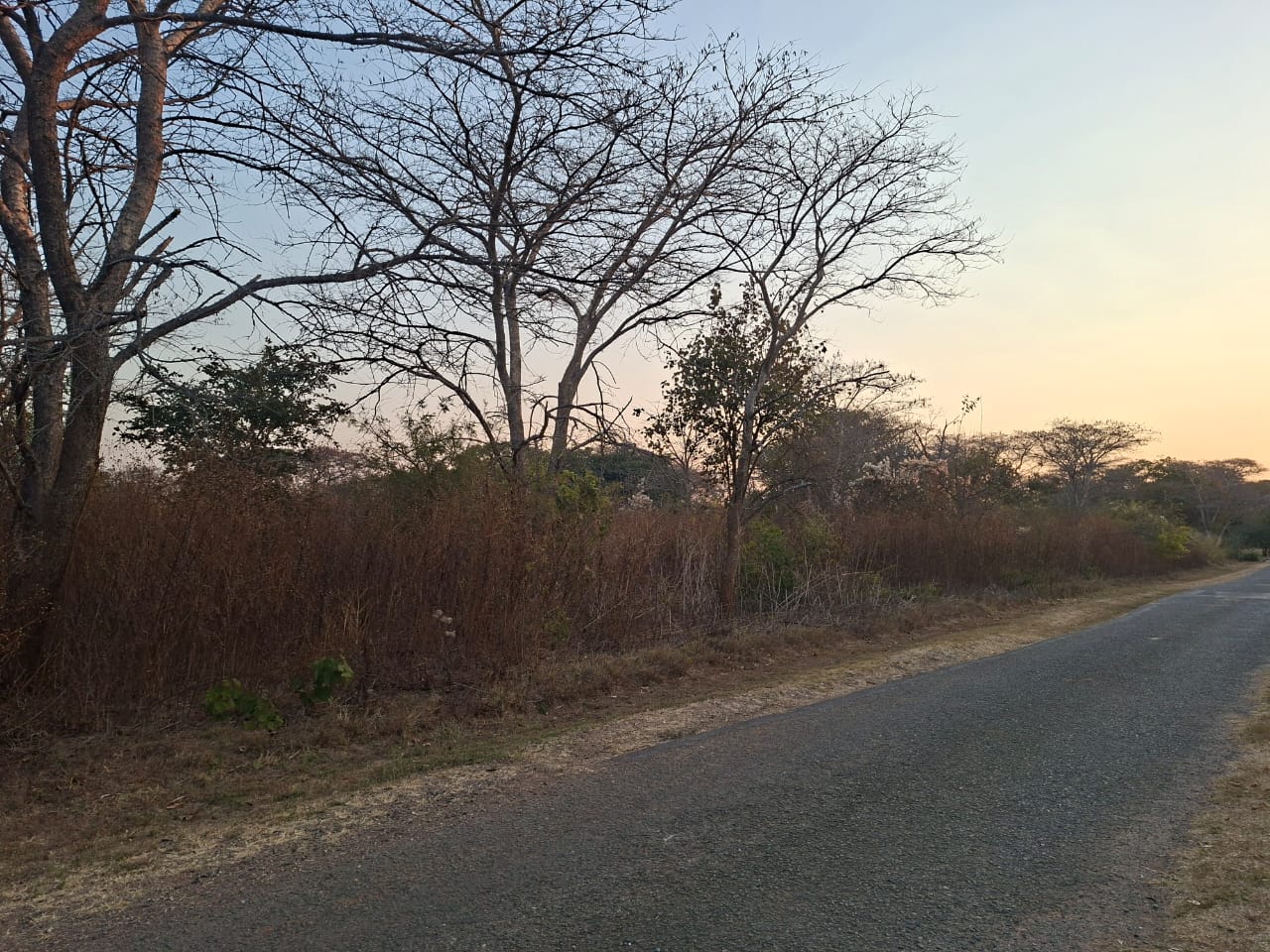 FOR SALE: NEW KASAMA (MUKAMUNYA)