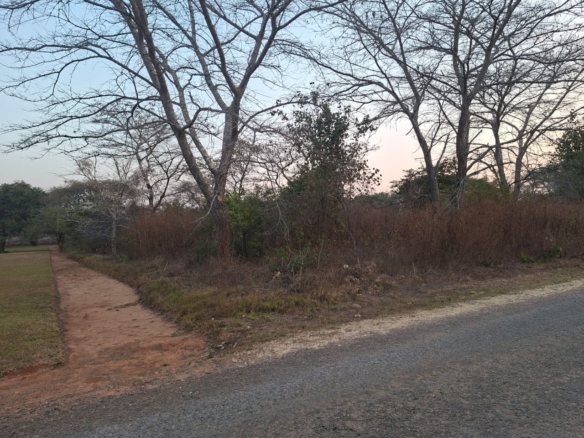FOR SALE: NEW KASAMA (MUKAMUNYA)