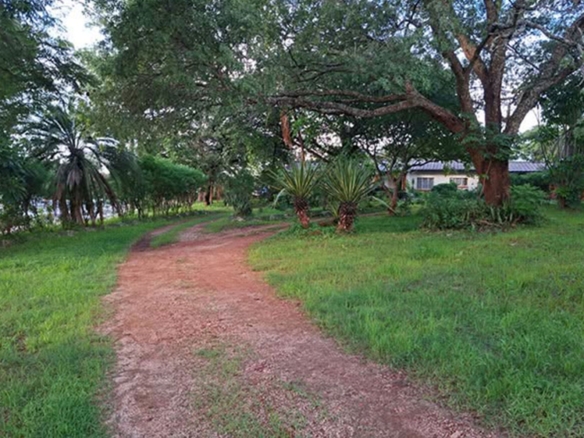 FOR RENT: IBEX HILL