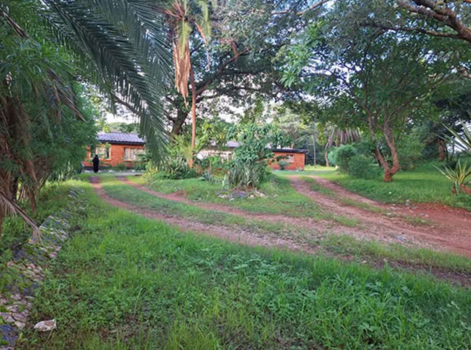 FOR RENT: IBEX HILL