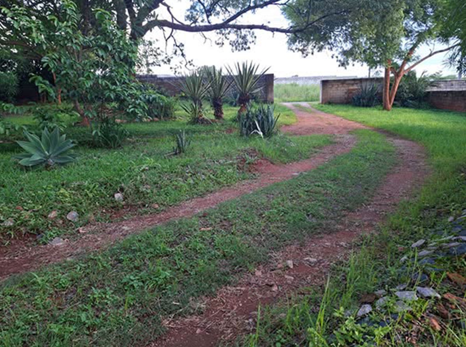 FOR RENT: IBEX HILL