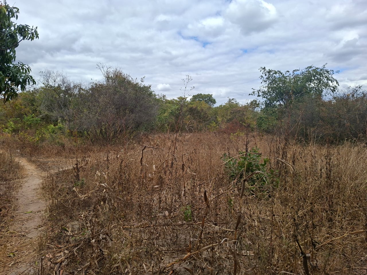 FOR SALE: CHAMINUKA