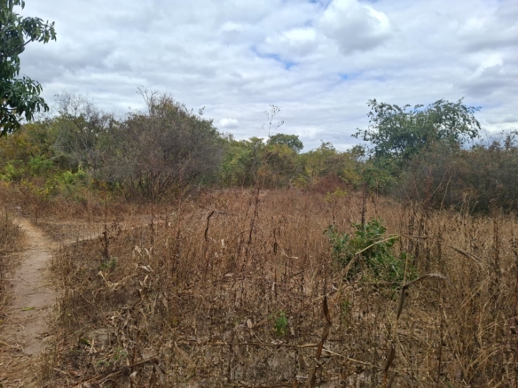 FOR SALE: CHAMINUKA