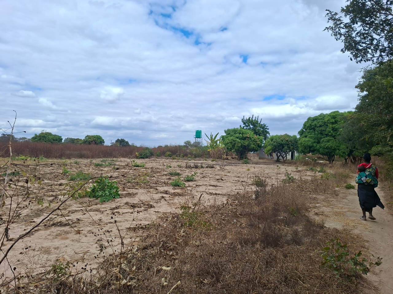 FOR SALE: CHAMINUKA