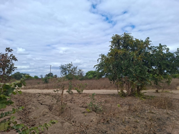 FOR SALE: CHAMINUKA