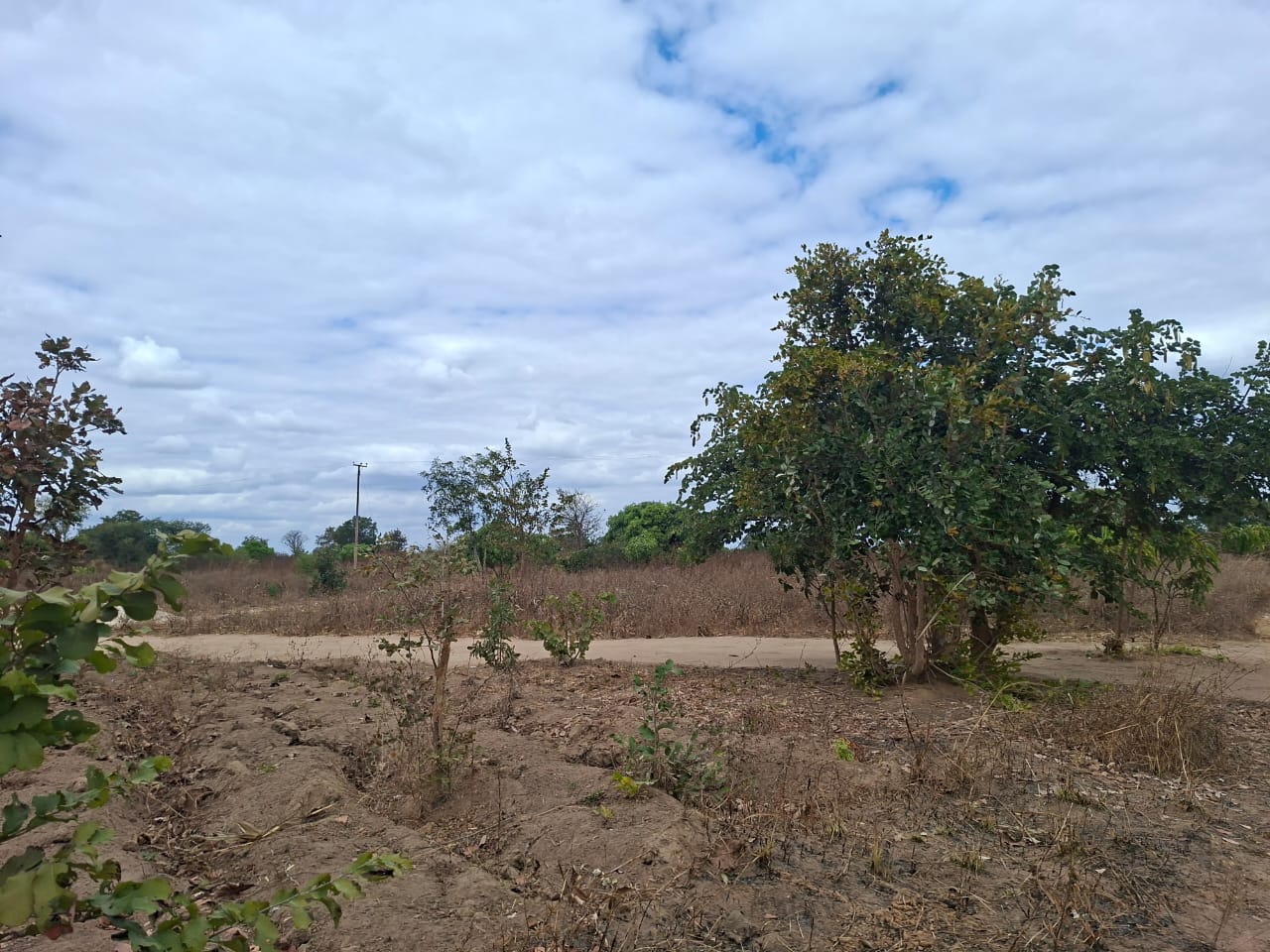 FOR SALE: CHAMINUKA