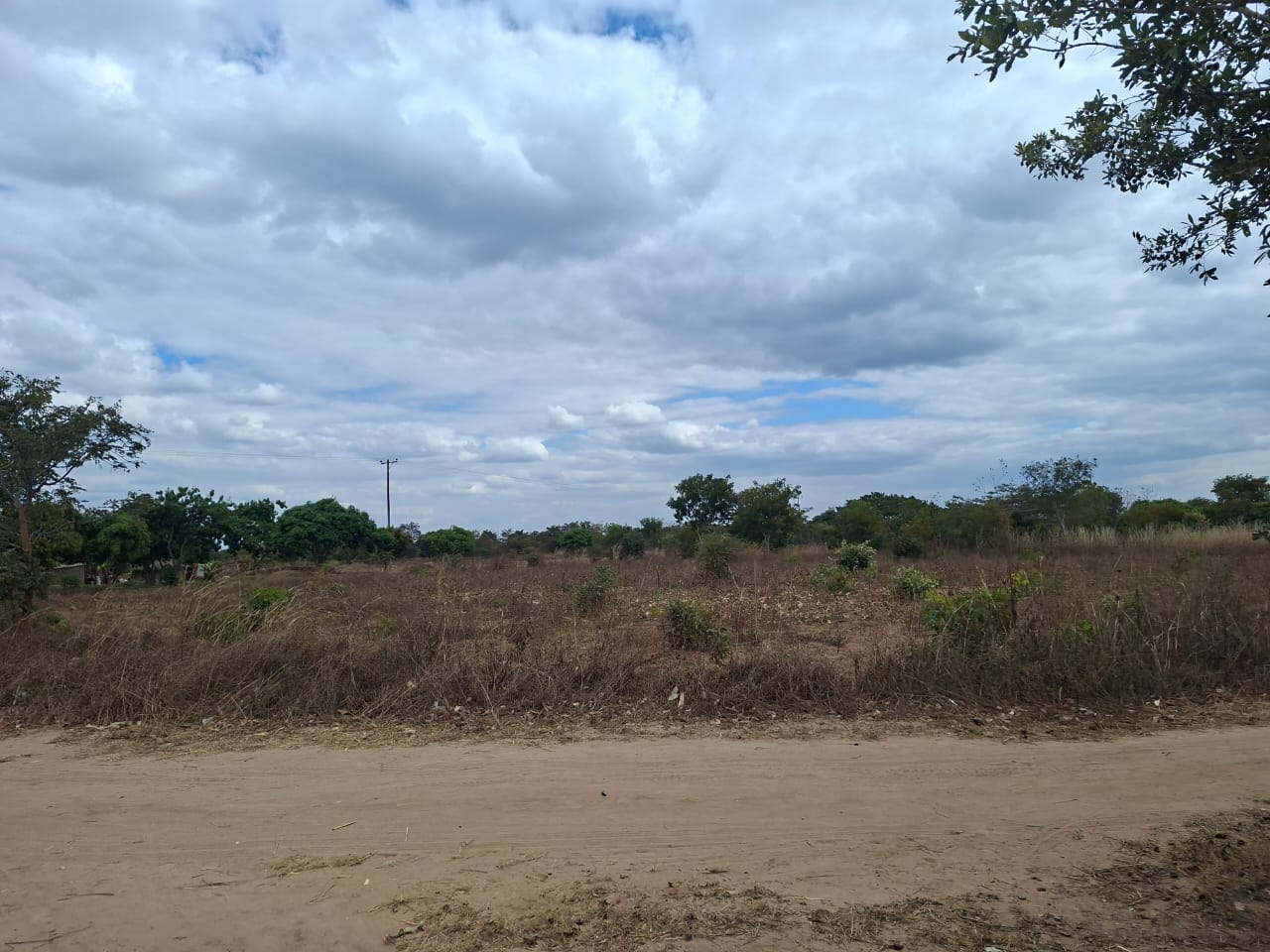 FOR SALE: CHAMINUKA