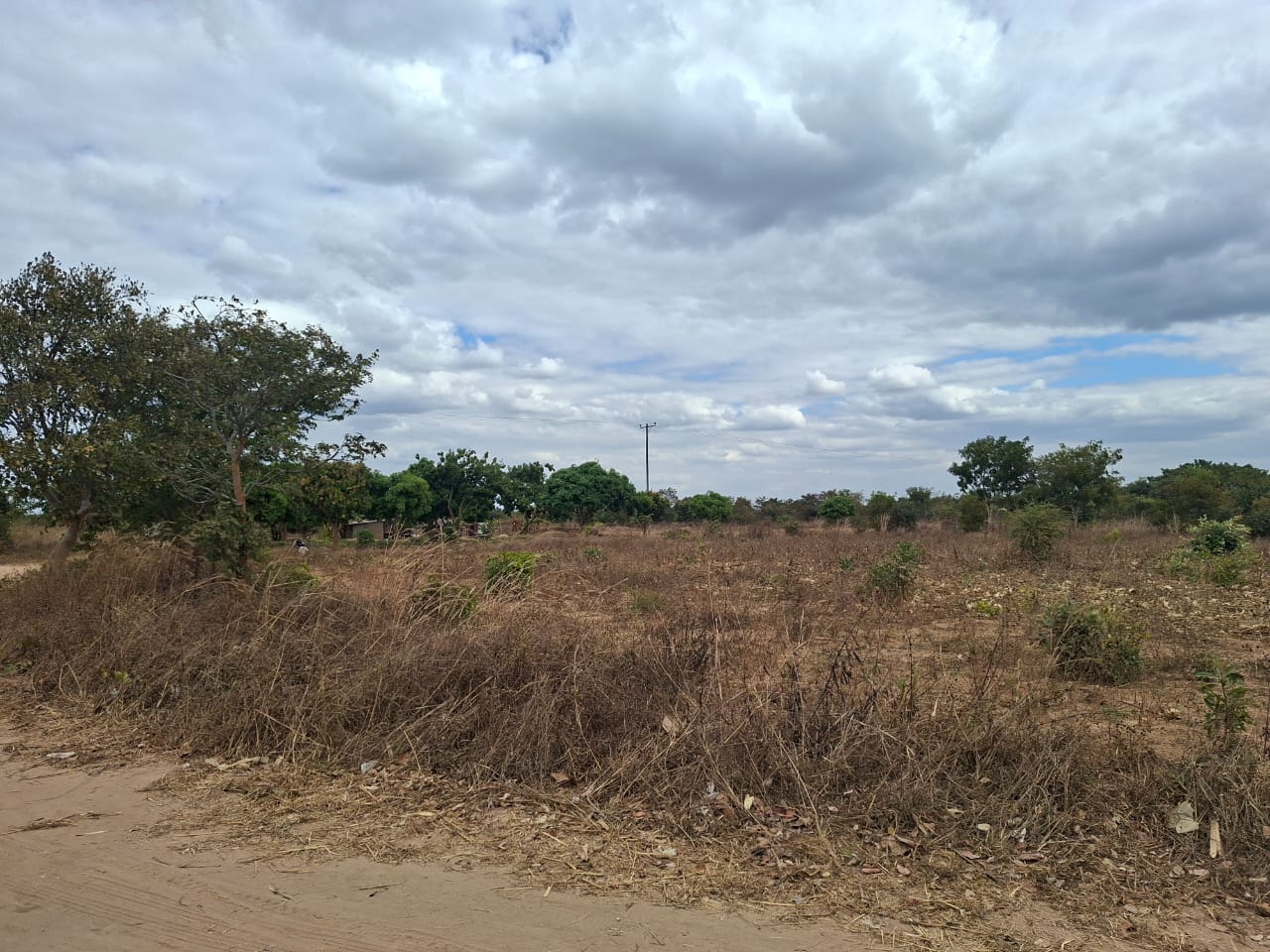 FOR SALE: CHAMINUKA
